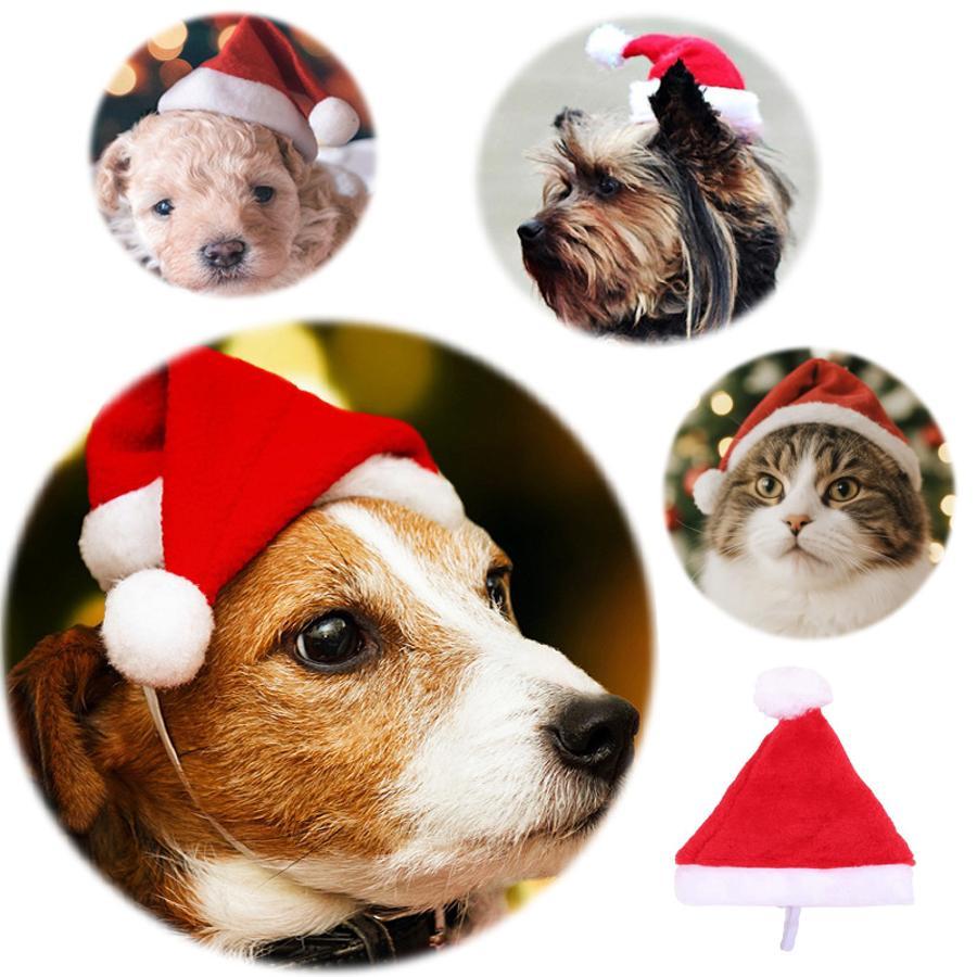 Christmas Pet Santa Hat Red Pl - Santa Hat Plush review and price