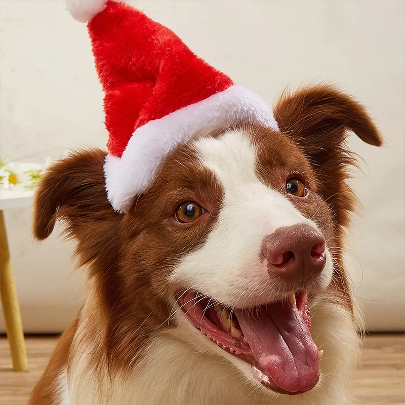 Plush Pet Santa Hat Christmas  - Santa Hat Plush review and price