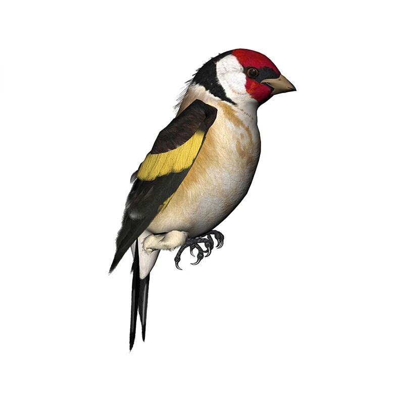 New Design for Tinsel Finches  - Tinsel Garland Decoration review and price